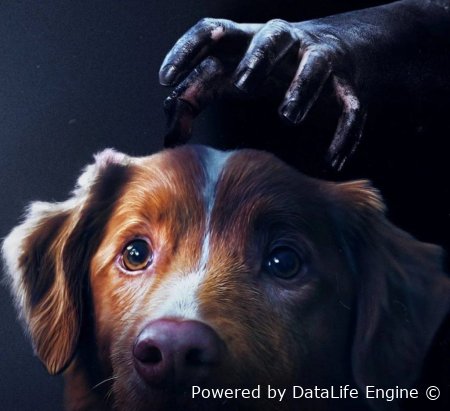 Itning nigohi bilan seriali 1-2-3-4-5-10-20-30-35 qism uzbek tilida barcha qismlar HD