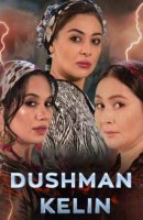 Dushman kelin (MILLIY SERIAL) 1-16-17-18-19-20-21-22-23-24-25-26-27-28-29-30 Qism Uzbek tilida Barcha qismlar 2025 HD
